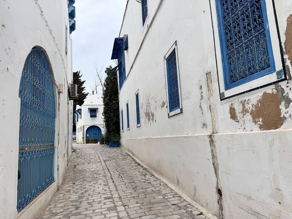 Narrow cobblestone street with white walls and blue doors and windows—a picturesque spot to include on your Tunisia itinerary 1 day adventure in a Mediterranean town.