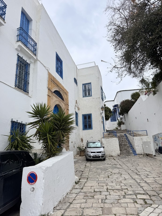 Narrow cobblestone street with white buildings, blue windows, parked cars, and a no-parking sign—a charming scene perfect for your Tunisia itinerary 1 day adventure.