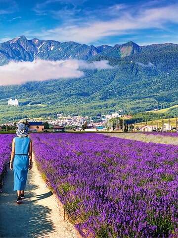 A woman walks through a vibrant purple lavender field with mountains and a village in the background.