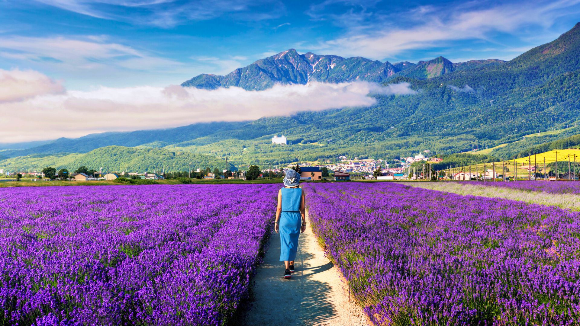 A woman walks through a vibrant purple lavender field with mountains and a village in the background.