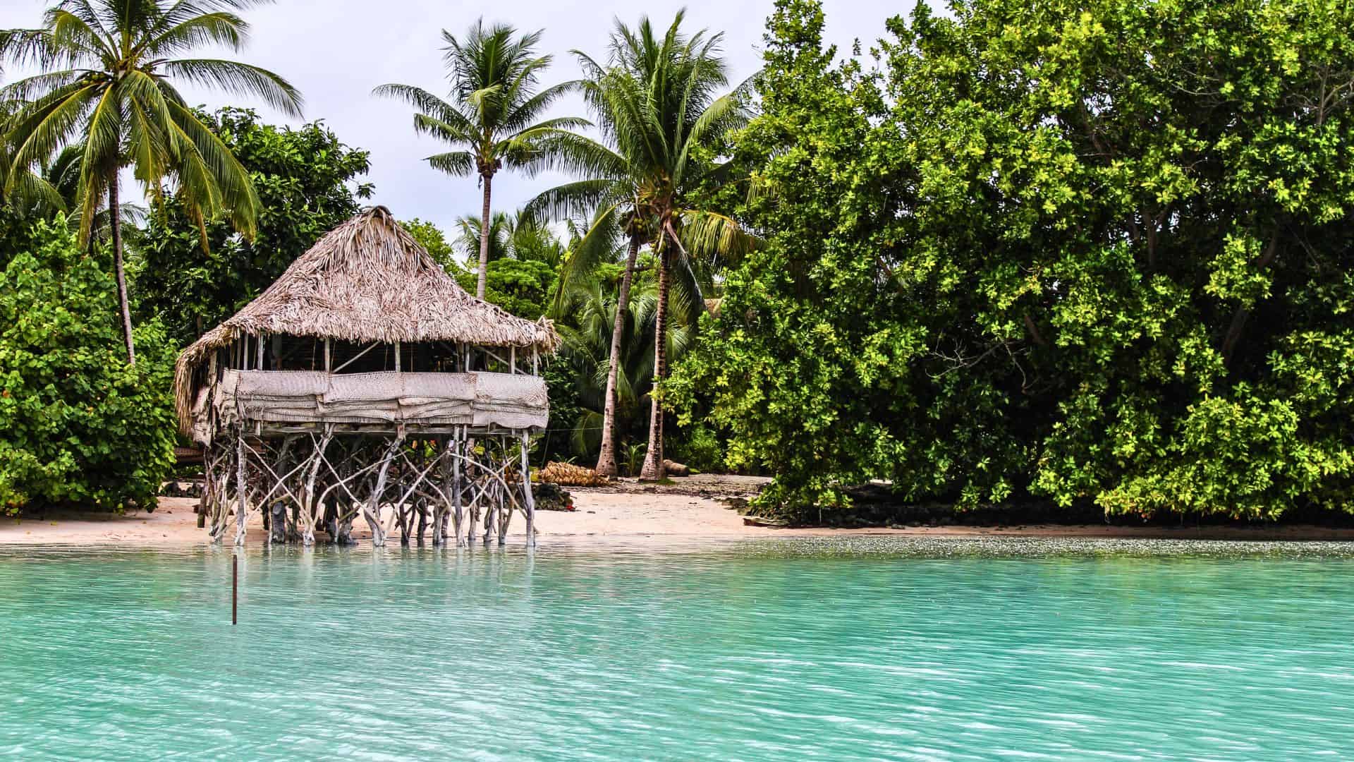 Thatched hut on stilts by turquoise water, surrounded by palm trees and lush green foliage.