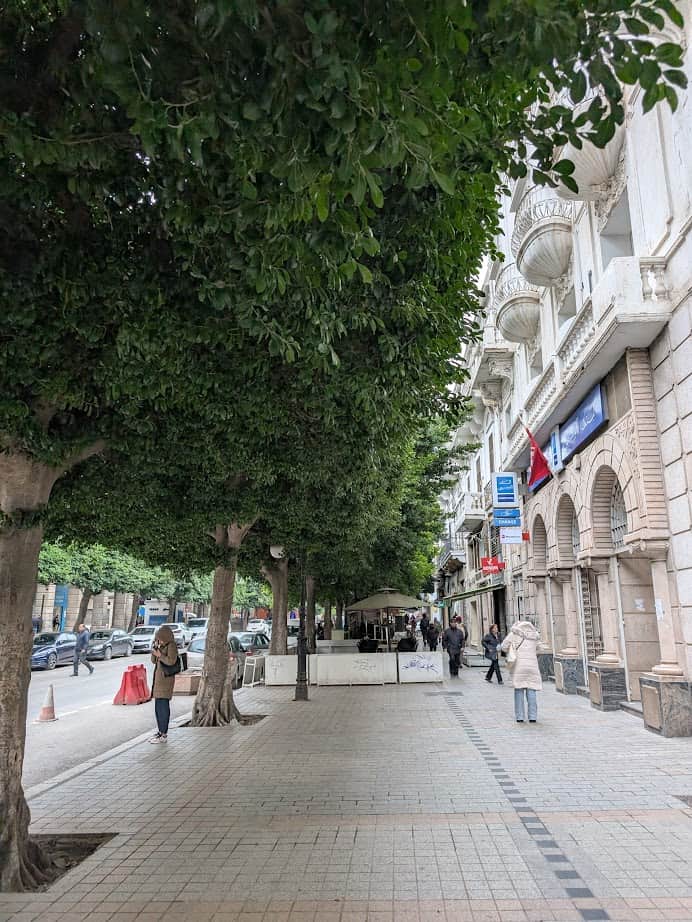 People walking on a tree-lined sidewalk next to buildings with shops and Tunisia flags, a perfect scene to include in your Tunisia itinerary 1 day adventure.