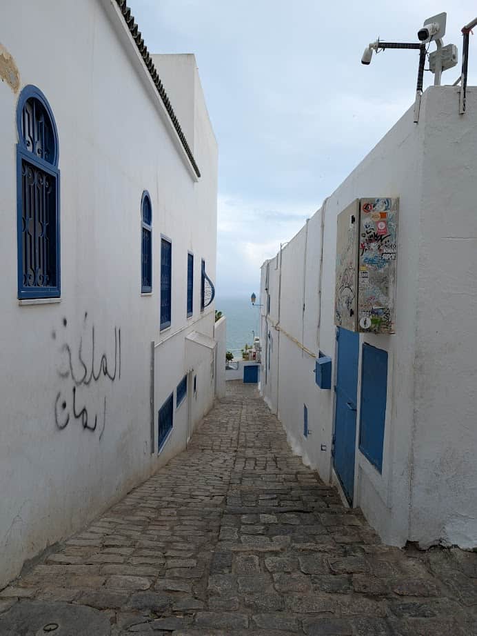 A narrow, cobblestone alley with white buildings and blue doors leads toward the sea under a cloudy sky—an ideal scene for your Tunisia itinerary 1 day adventure.