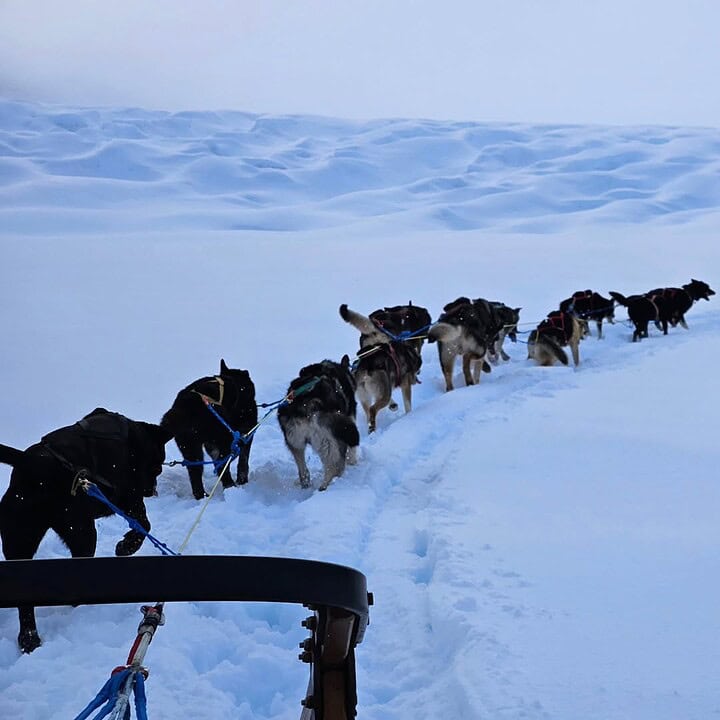 A team of sled dogs pulls a sled through deep snow in a snowy, mountainous landscape, showcasing the spirit of winter travel.