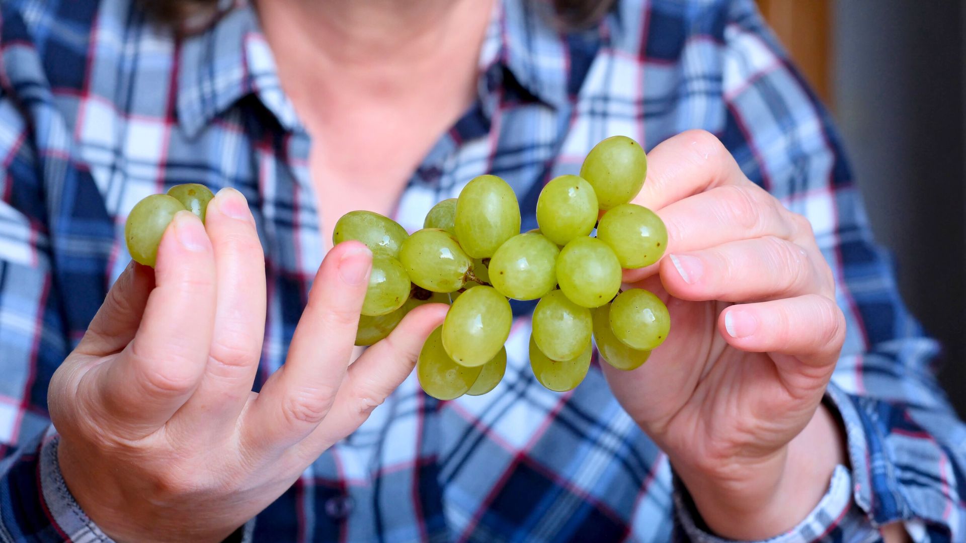 A person holding a bunch of green grapes, wearing a blue and red plaid shirt.