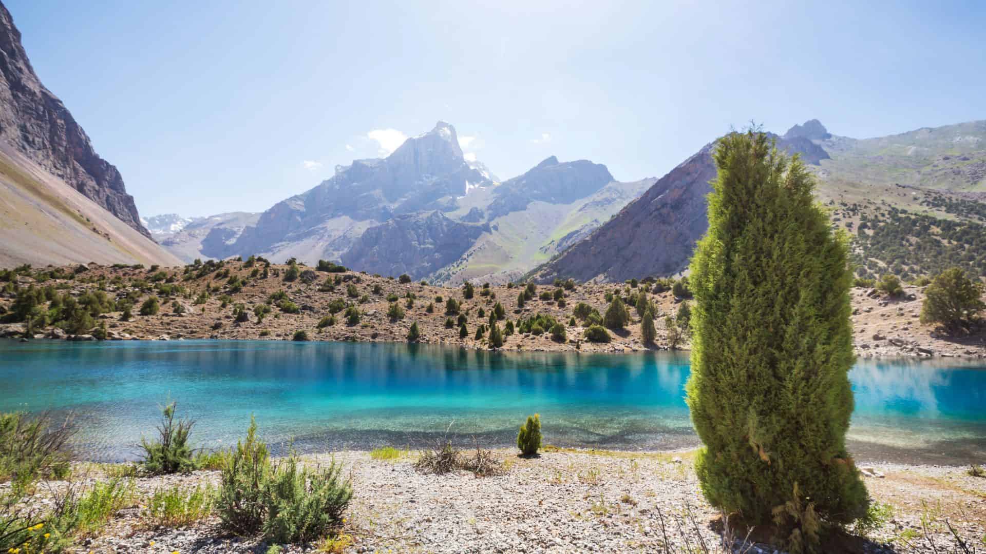 A turquoise mountain lake with a tree in the foreground and rugged peaks in the background under a clear sky.