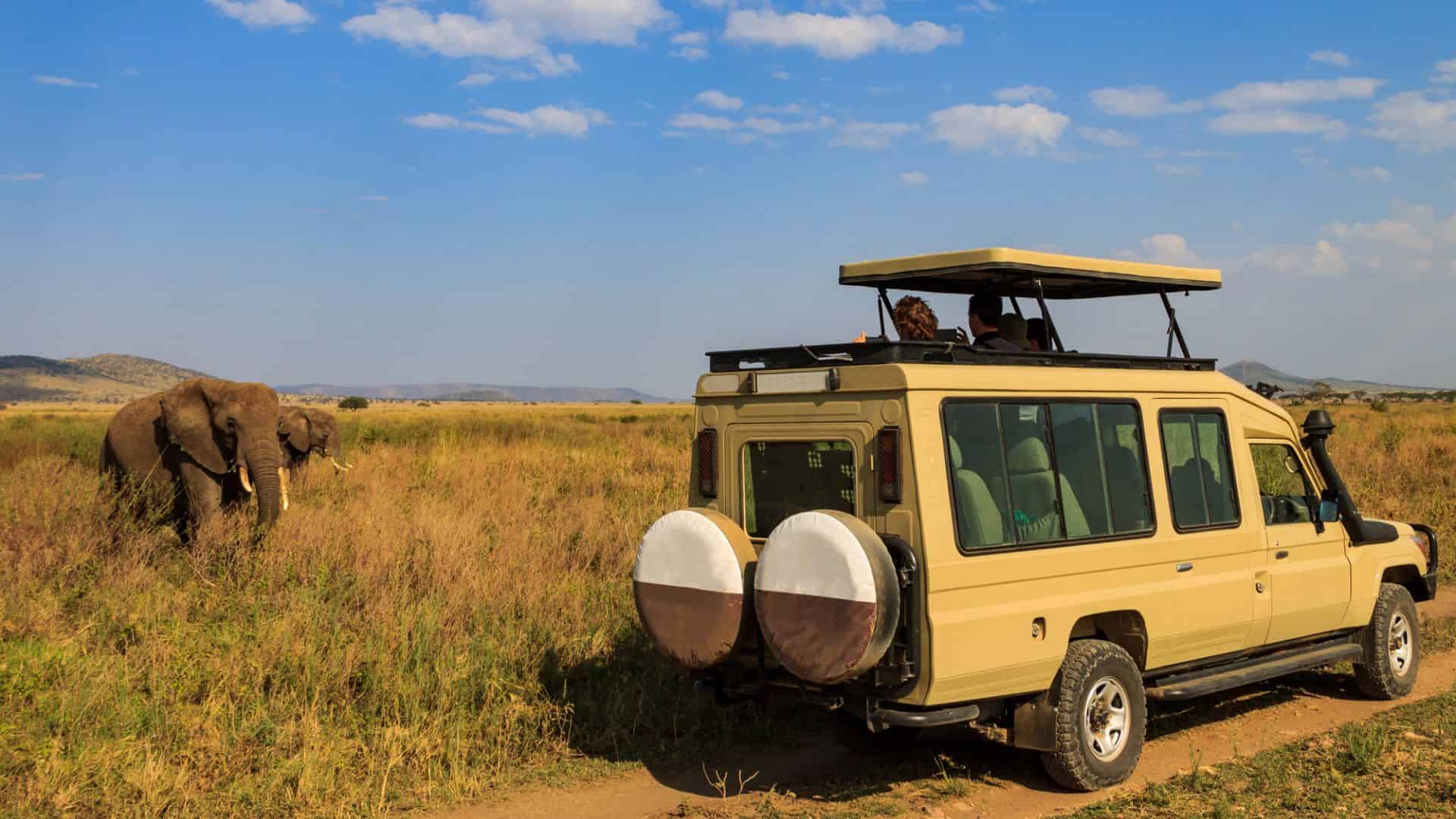 Safari vehicle with tourists observing two elephants grazing in the grassy savanna under a blue sky.