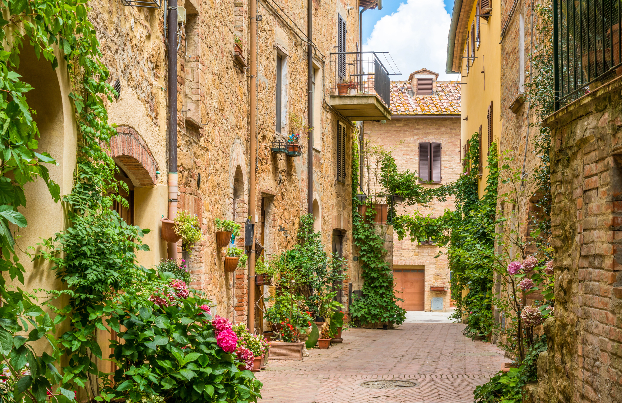 Narrow cobblestone alley with stone buildings and potted plants, flowers, and green vines lining the walls—reminiscent of charming Tuscany villages.
