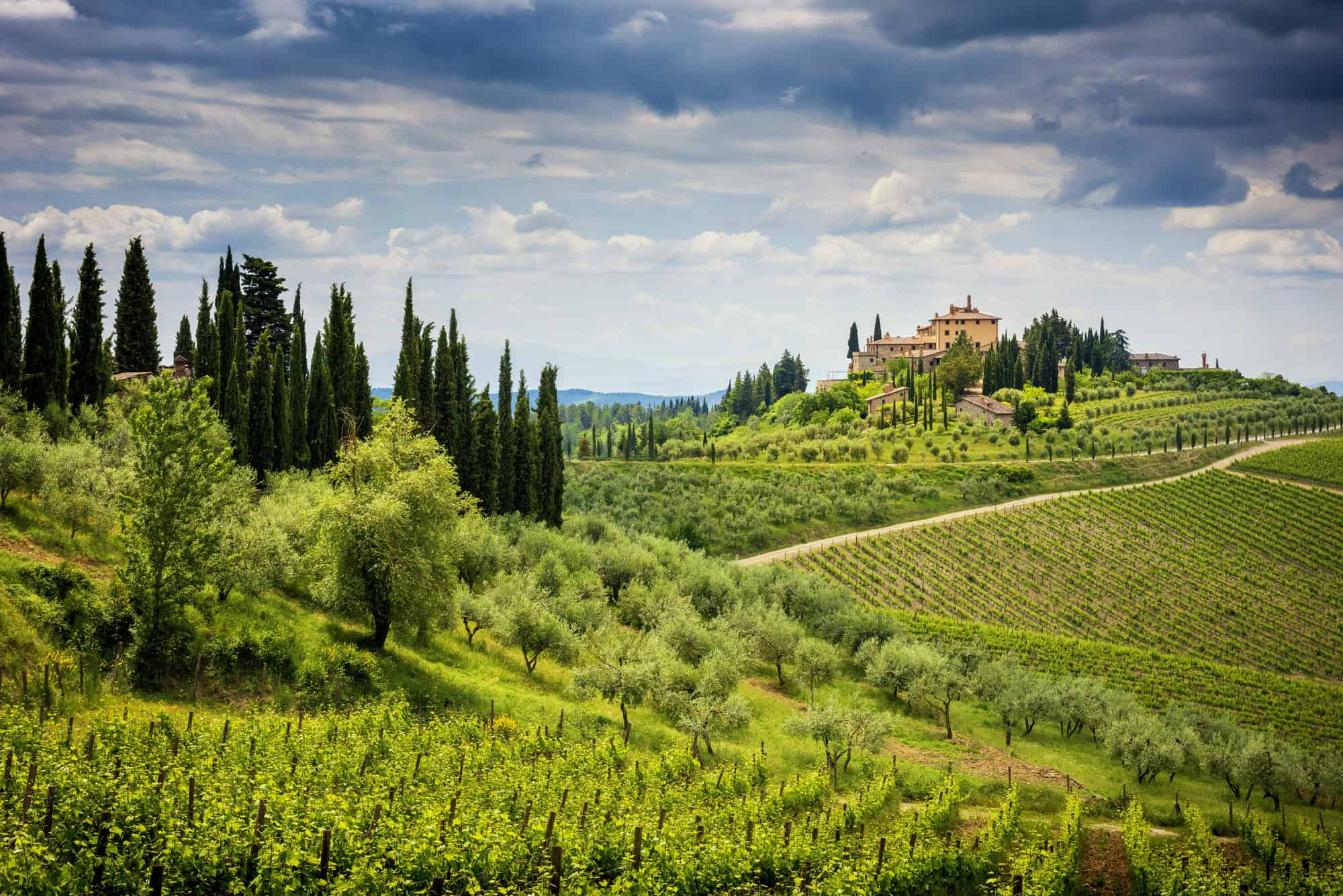 Rolling vineyards and cypress trees surround a hilltop villa under a dramatic cloudy sky, capturing the timeless beauty of Tuscany. Perfect for any Tuscany travel guide.
