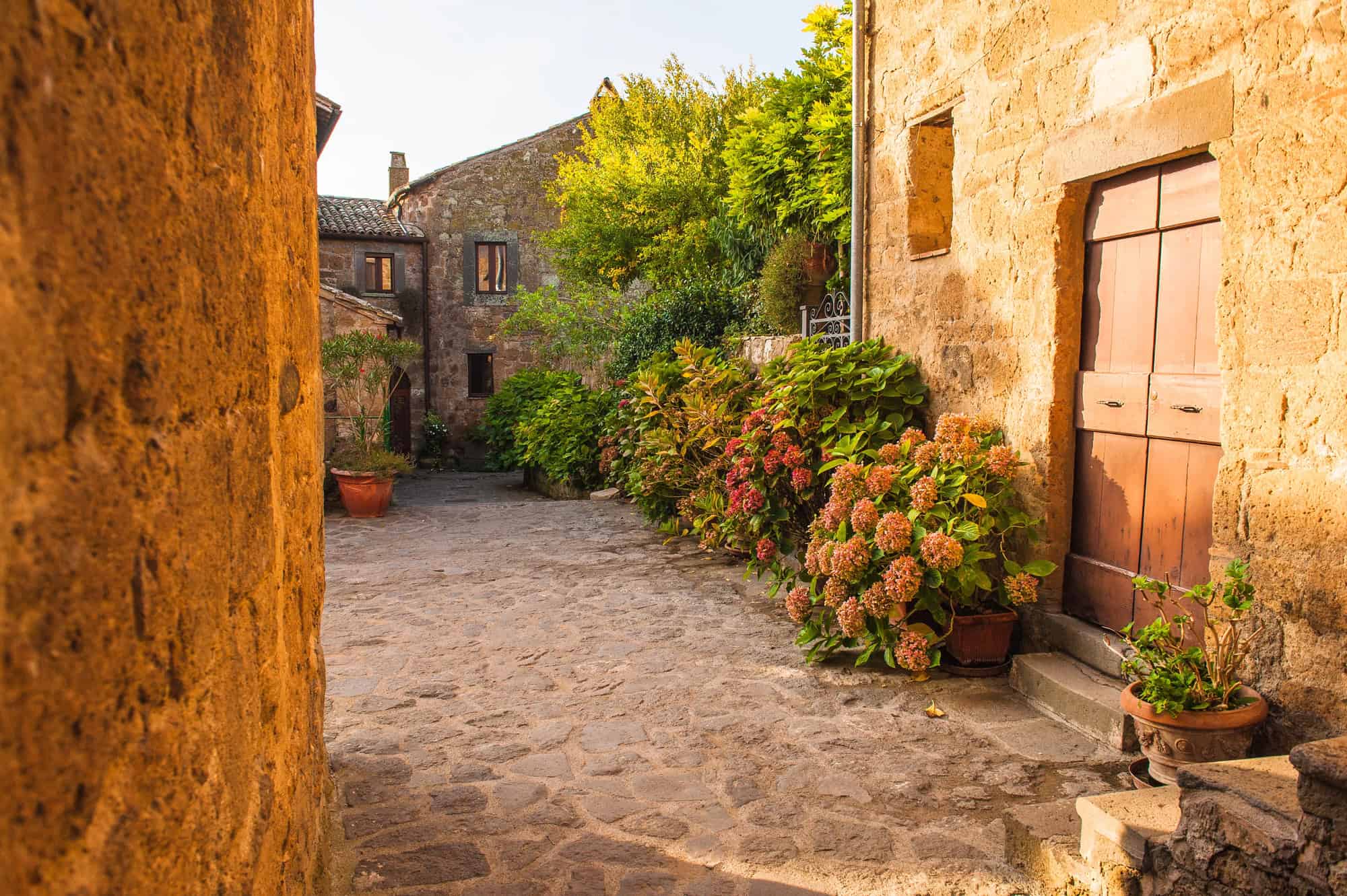 A sunlit stone alley in one of the charming Tuscany villages, with potted plants and flowering bushes beside rustic buildings.