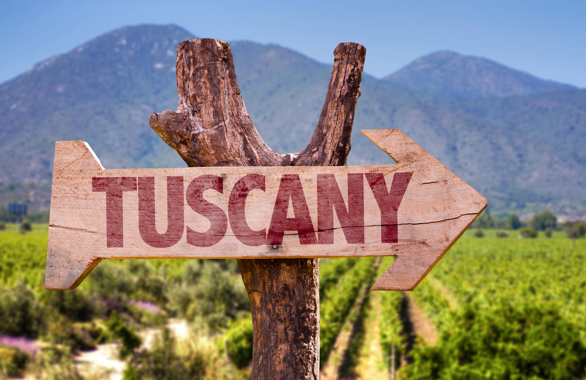 Wooden arrow sign reading "Tuscany" points toward lush vineyards and rolling mountains under a clear sky.