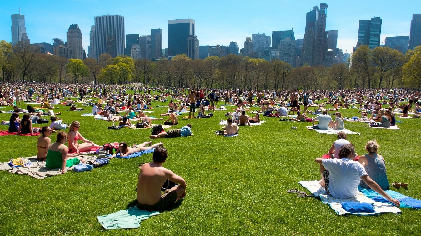 Crowds relax on a sunny lawn in a city park, with skyscrapers in the background.