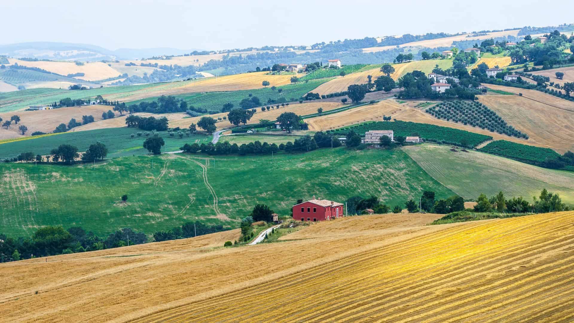 Rolling hills with green and golden fields, scattered trees, and a red farmhouse in the countryside.