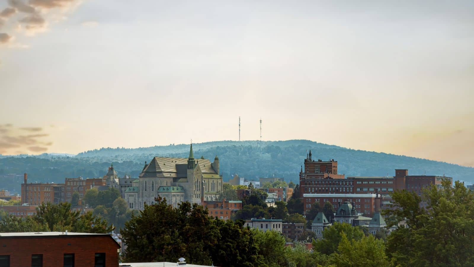 Cityscape view with historic buildings and a tree-covered hill in the background under a cloudy sky.