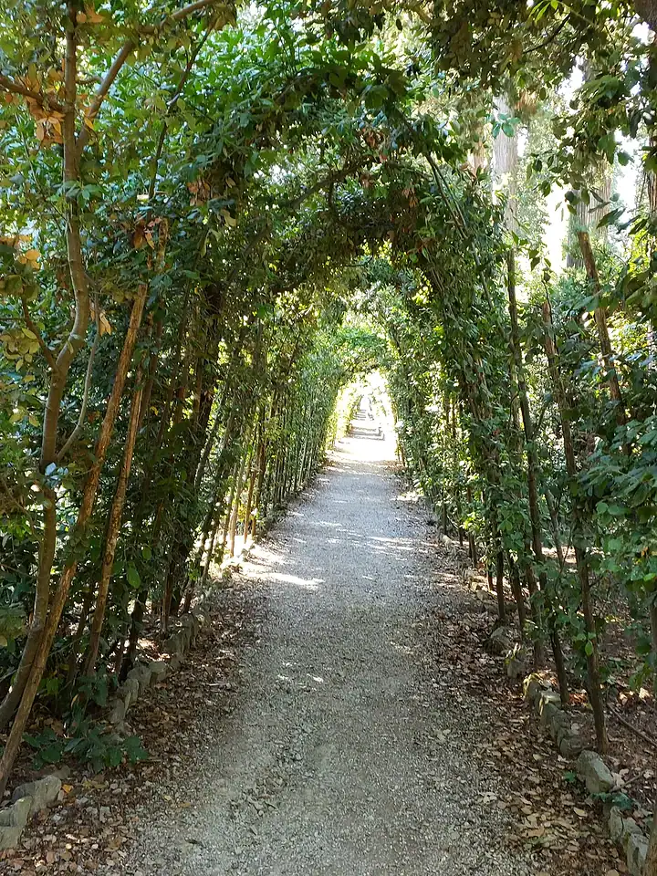 Gravel path under a green leafy archway of trees, with sunlight shining through at the end&mdash;a picturesque spot perfect for any Florence Italy itinerary.