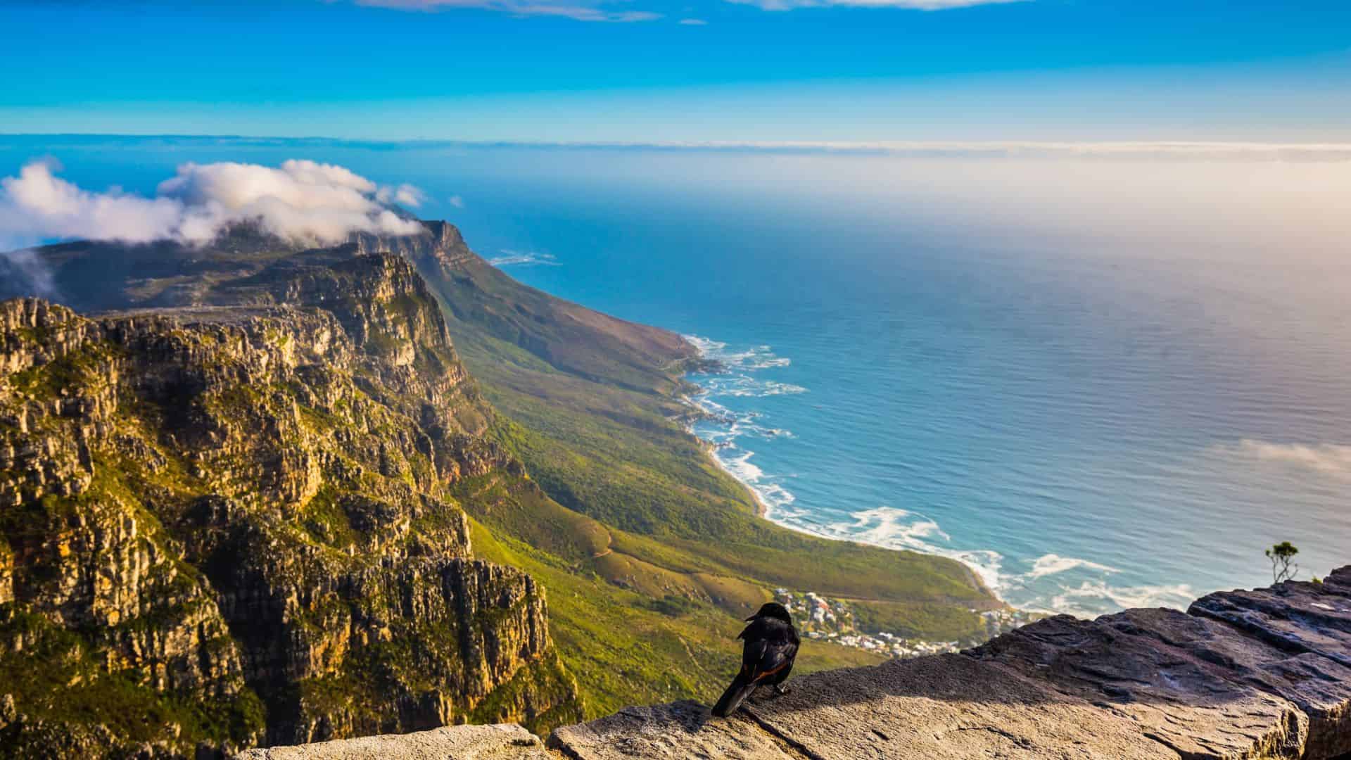 A bird sits on a rocky cliff overlooking a coastline, mountains, and blue ocean under a clear sky.
