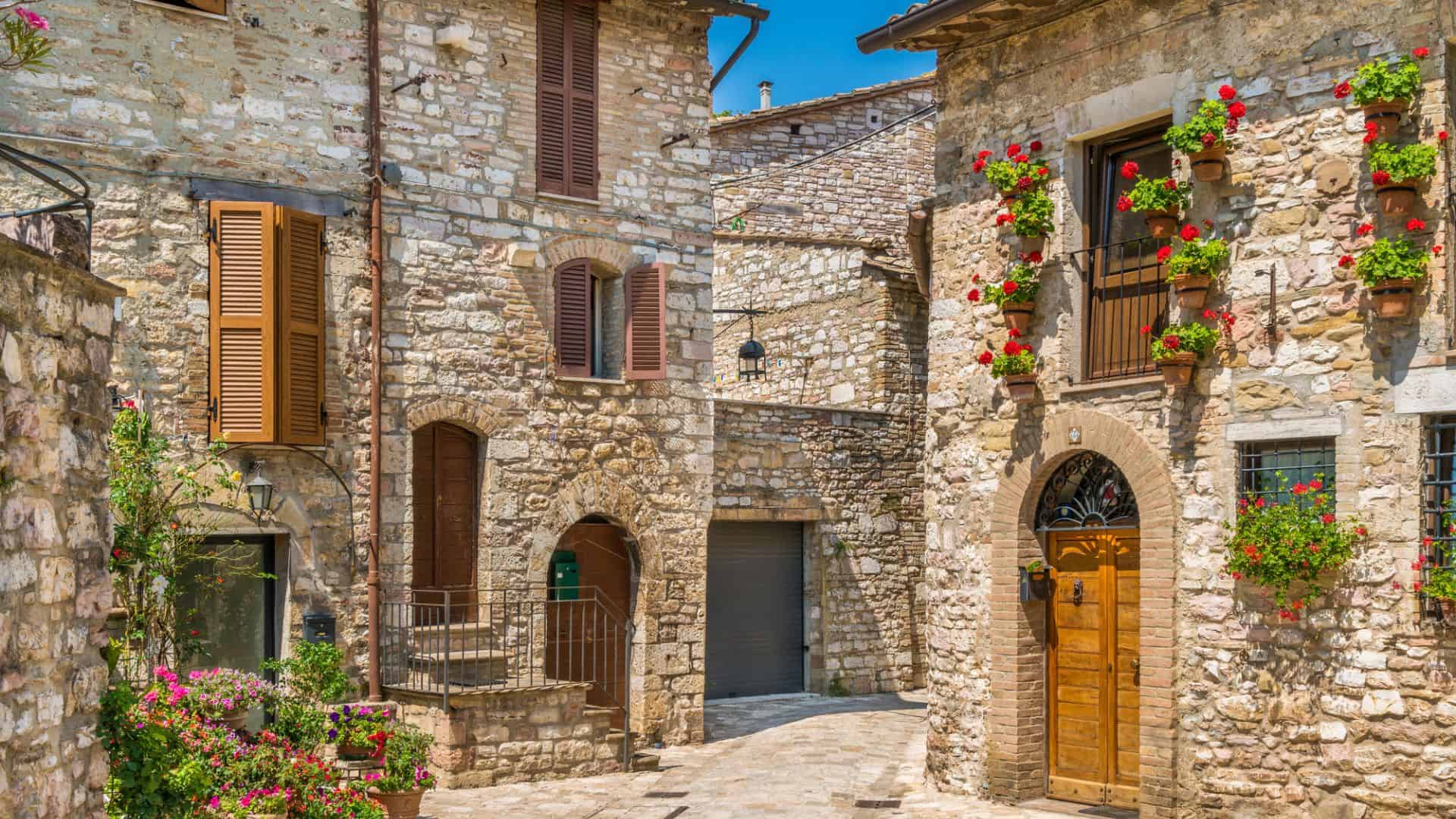 Stone buildings with wooden doors and windows, flower pots, and a sunny cobblestone street in a quaint village.