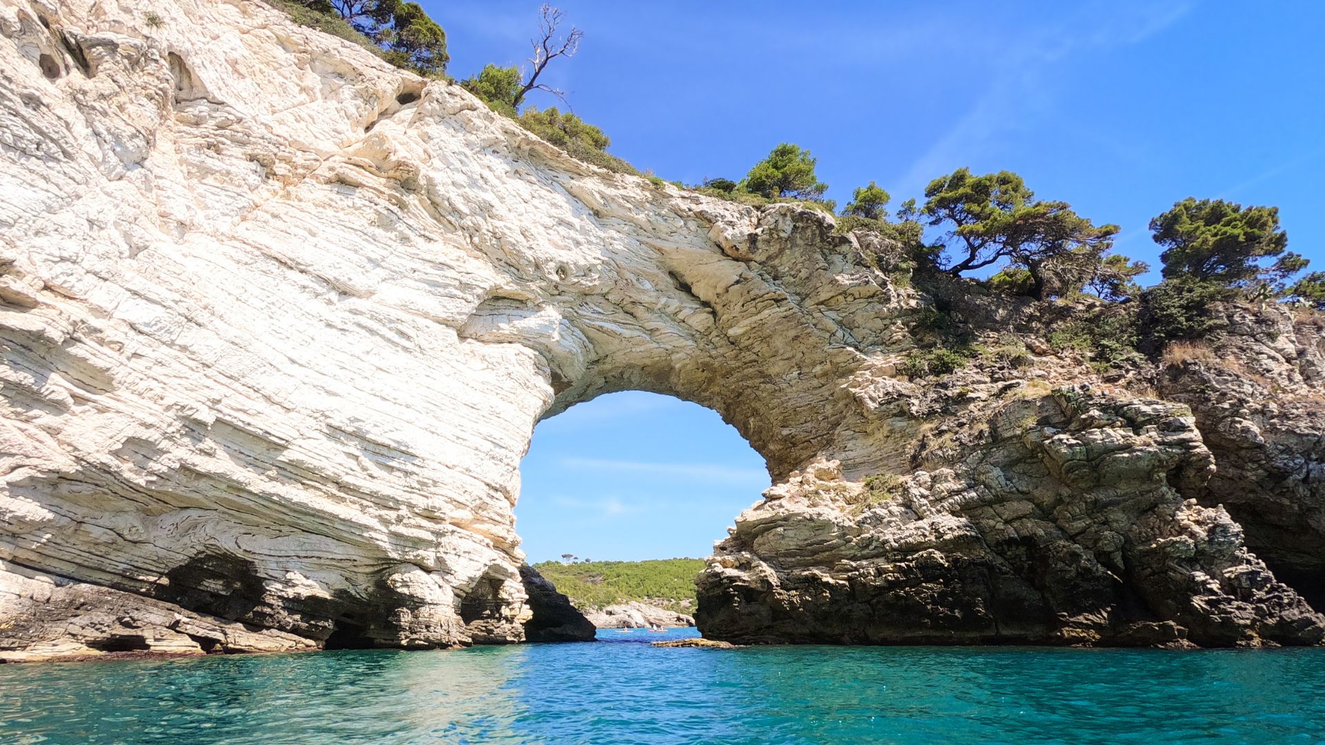 A natural rock arch rises above turquoise water, topped with green trees under a clear blue sky.