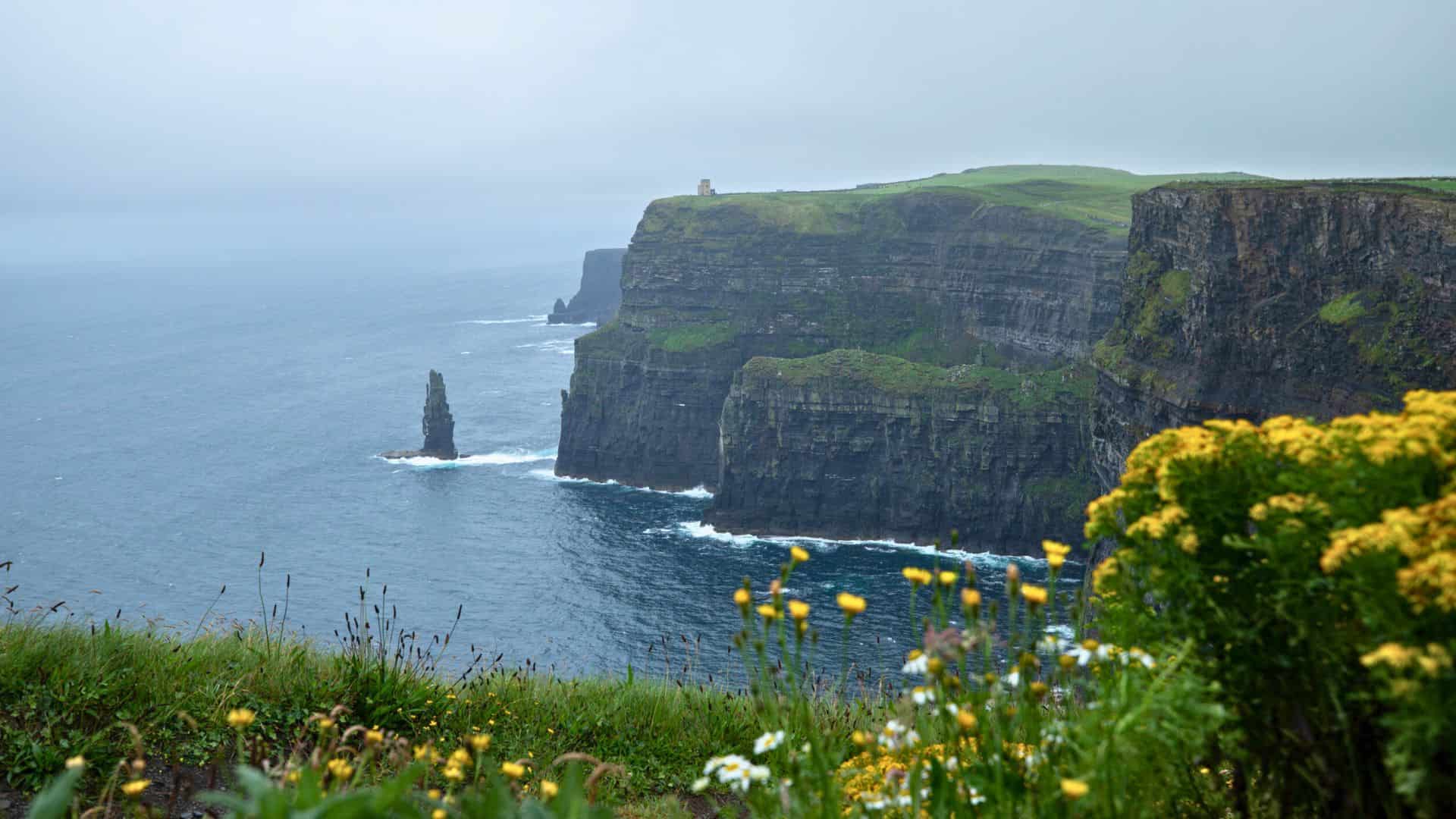 Steep sea cliffs with wildflowers, misty sky, and ocean waves, likely the Cliffs of Moher in Ireland.