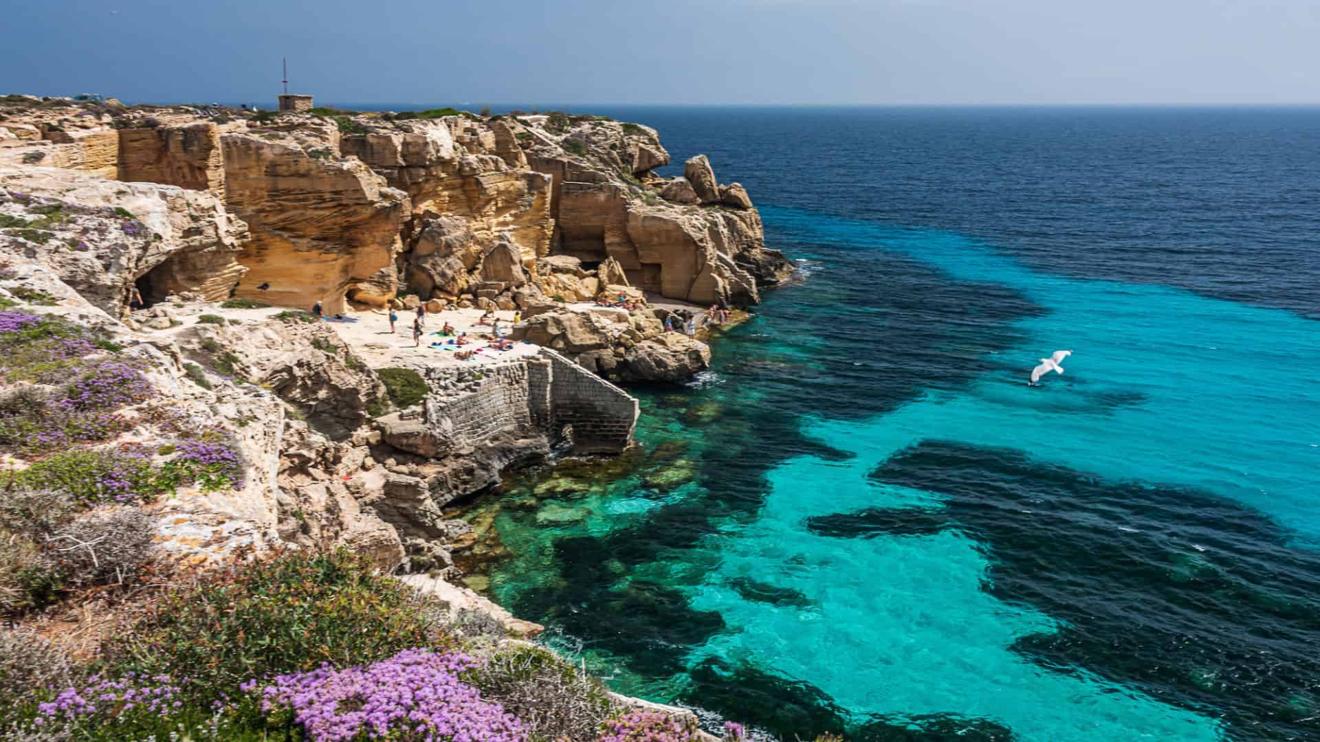 Rocky cliffs with people sunbathing by turquoise sea, clear sky, and a seagull flying over the water.