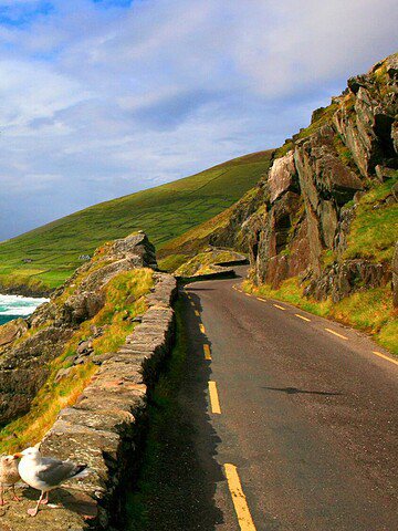 A coastal road curves along rocky cliffs with waves below, grassy hills, and seagulls flying overhead.