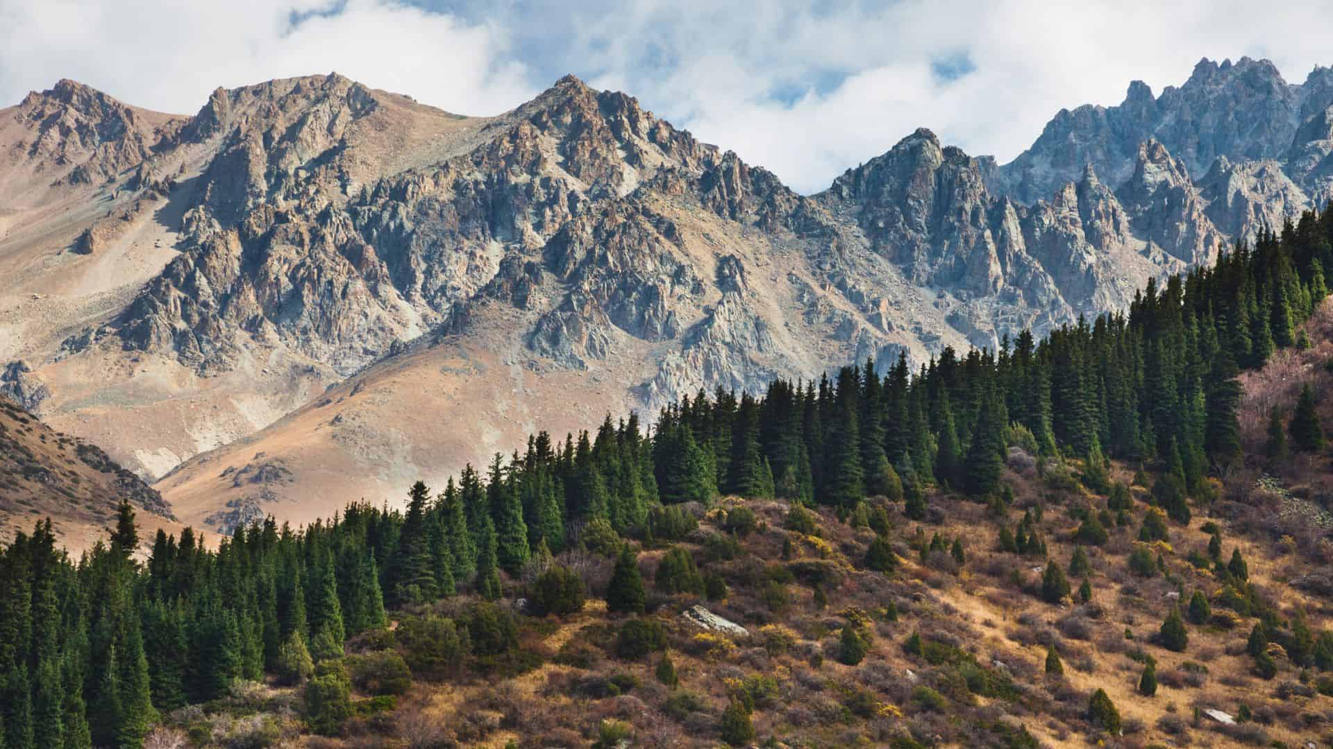 Rocky mountains with jagged peaks rise above a forested hillside of evergreen and sparse bushes under a cloudy sky.