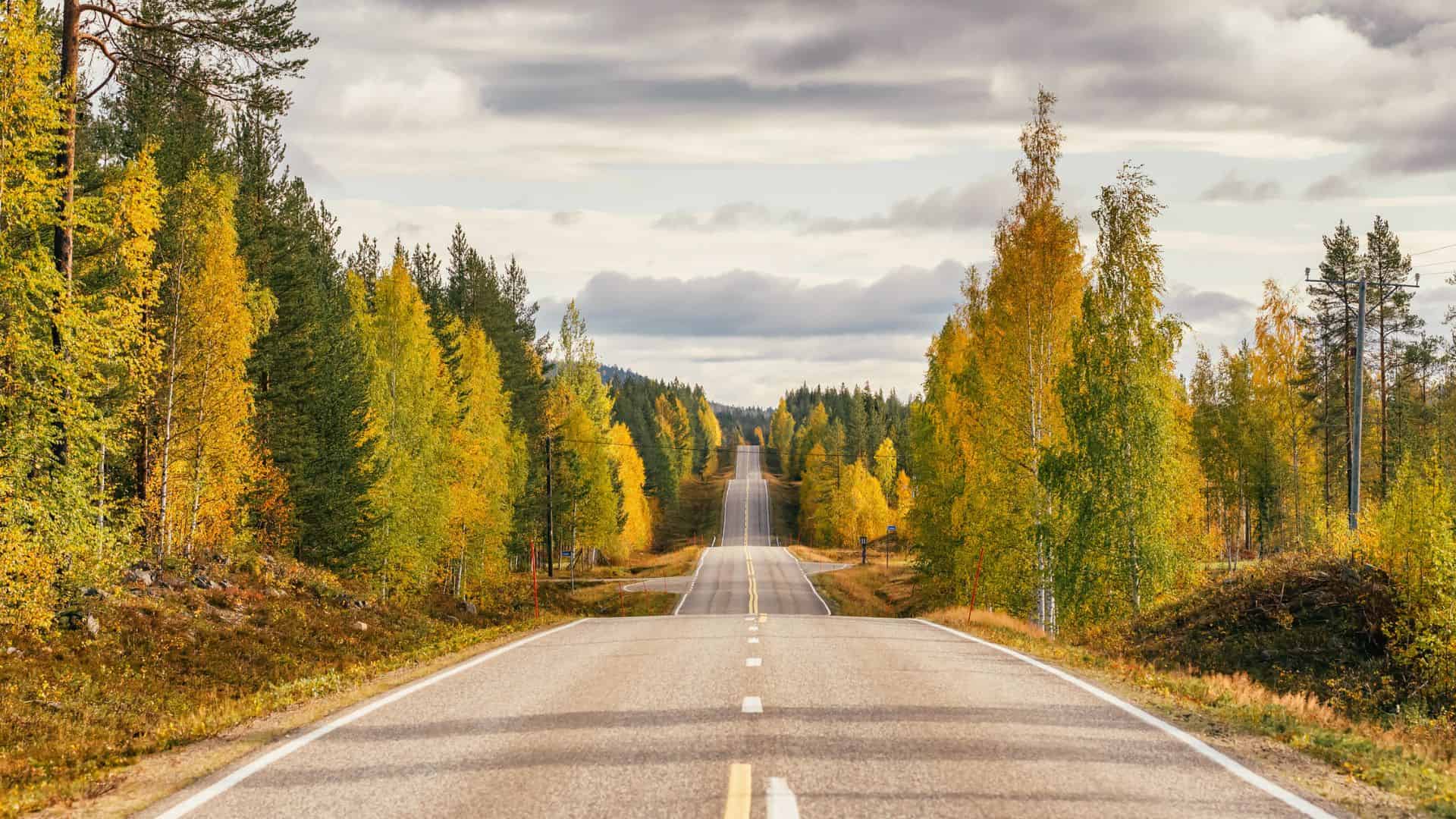 A rural road stretches into the distance, lined with autumn trees under a cloudy sky.