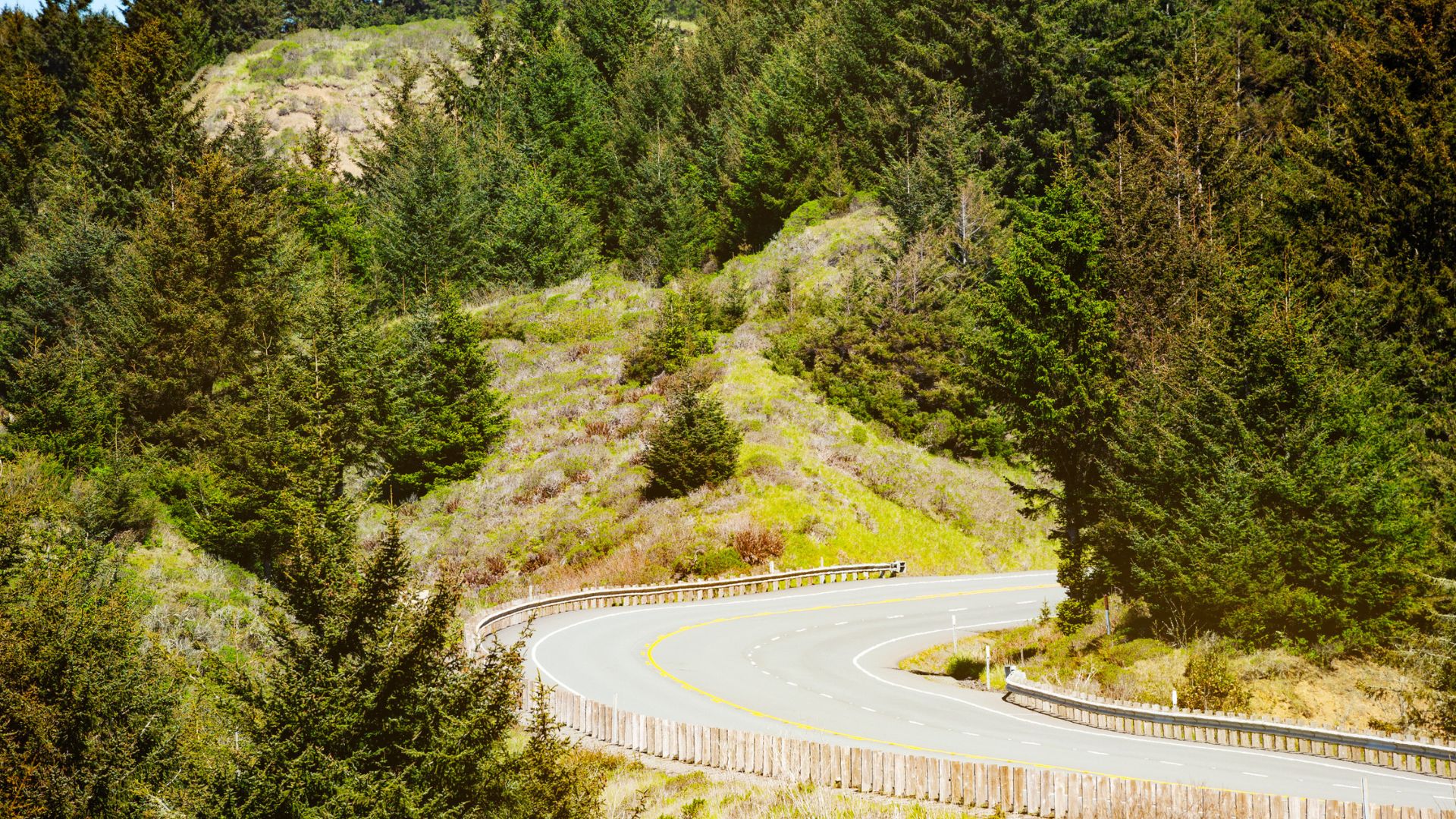 A winding road curves through a green forested hillside on a sunny day.