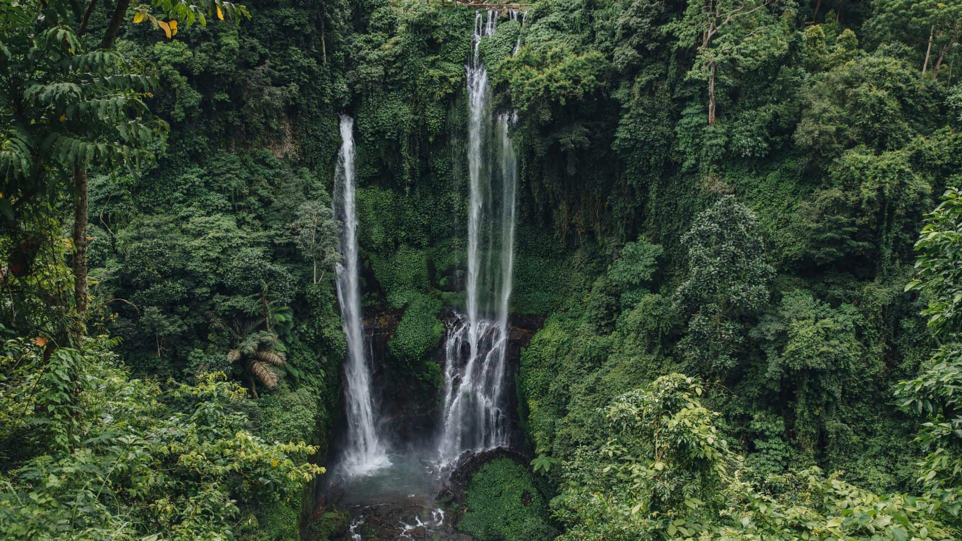 A waterfall in the middle of a forest.