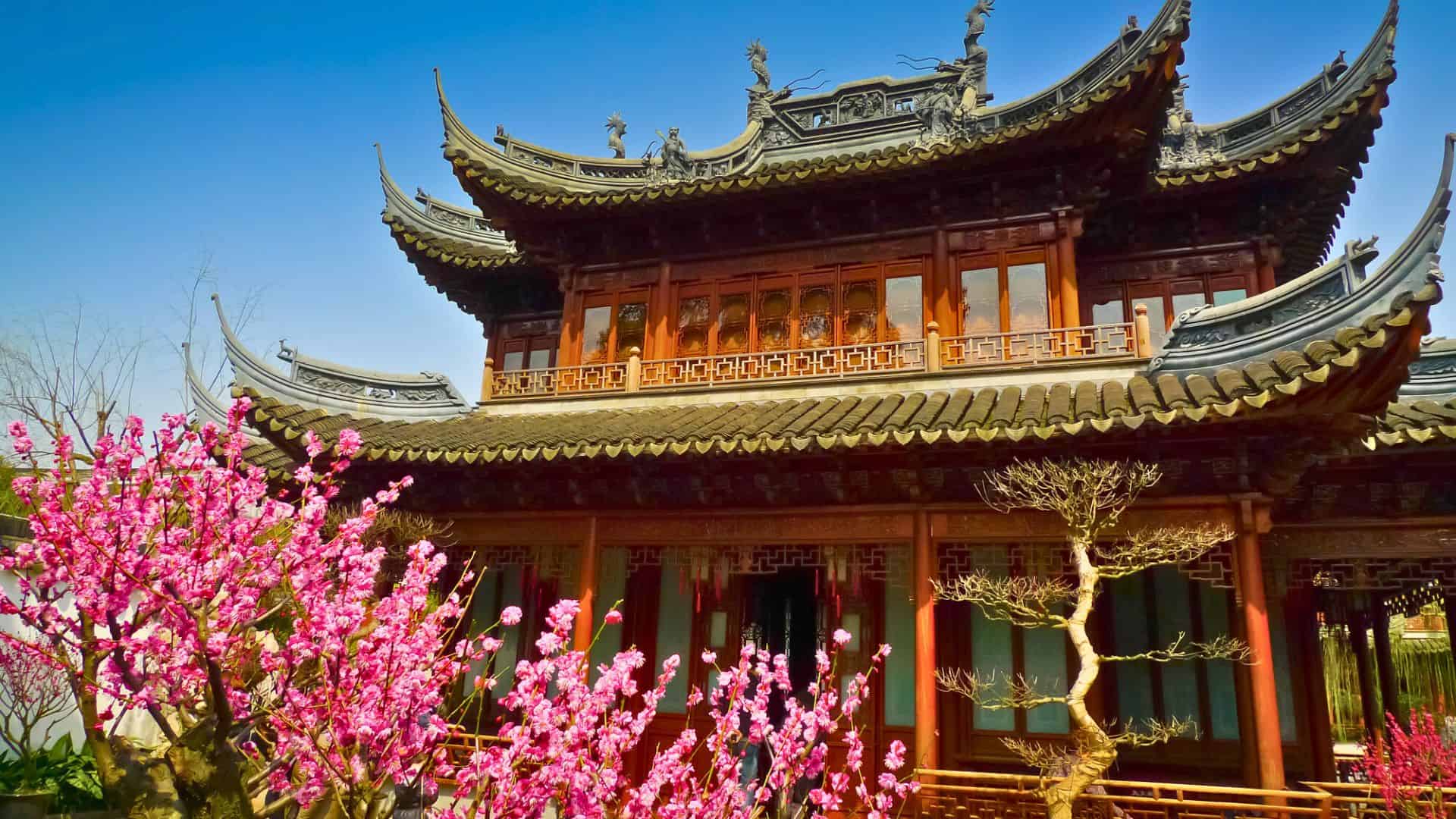 Traditional Chinese building with curved roofs and blooming pink flowers in the foreground under a clear blue sky.