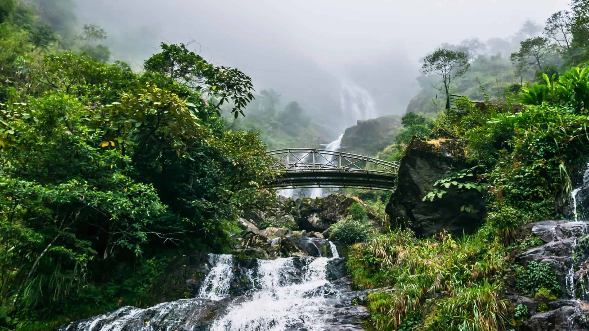 A lush green landscape with a waterfall, rocky stream, and a footbridge surrounded by misty trees.
