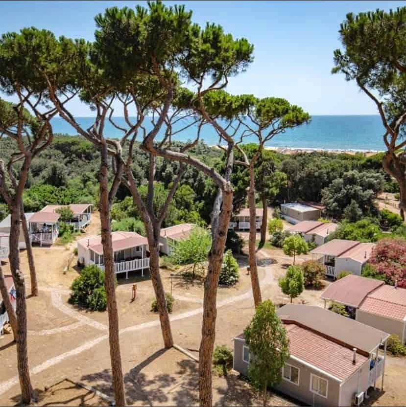 Tall pine trees overlook cottages near a sandy path in Parco della Gallinara, with the sea and blue sky stretching out in the background.