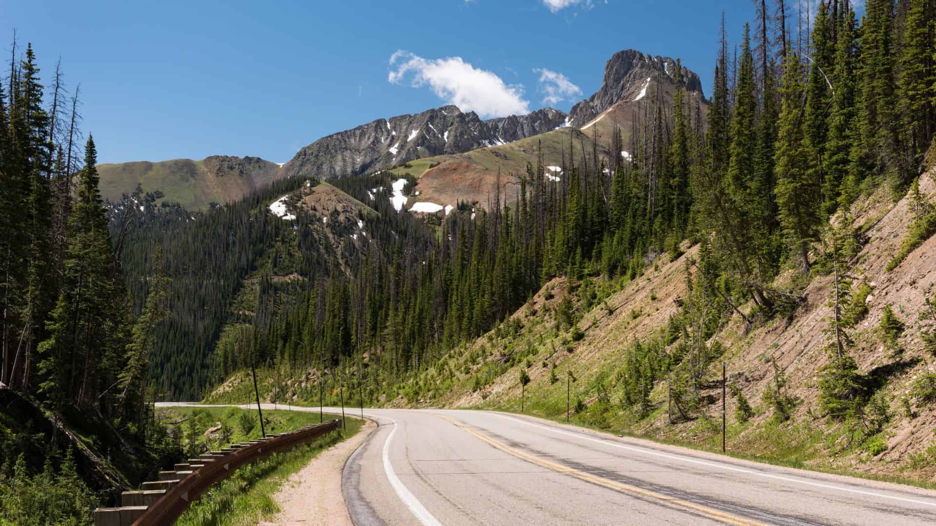 Winding mountain road lined with pine trees, with rocky peaks and patches of snow in the distance.