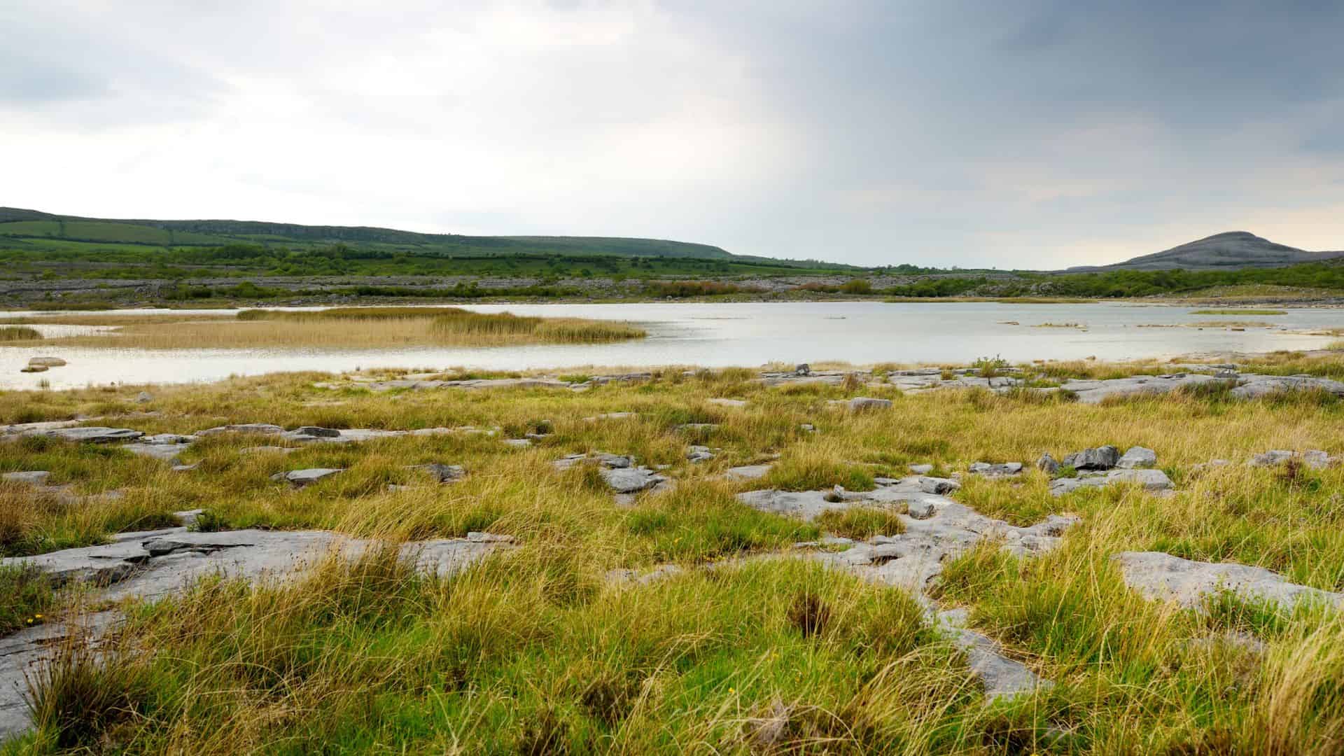 Grassy wetland with scattered rocks, a calm lake, and rolling green hills under a cloudy sky.