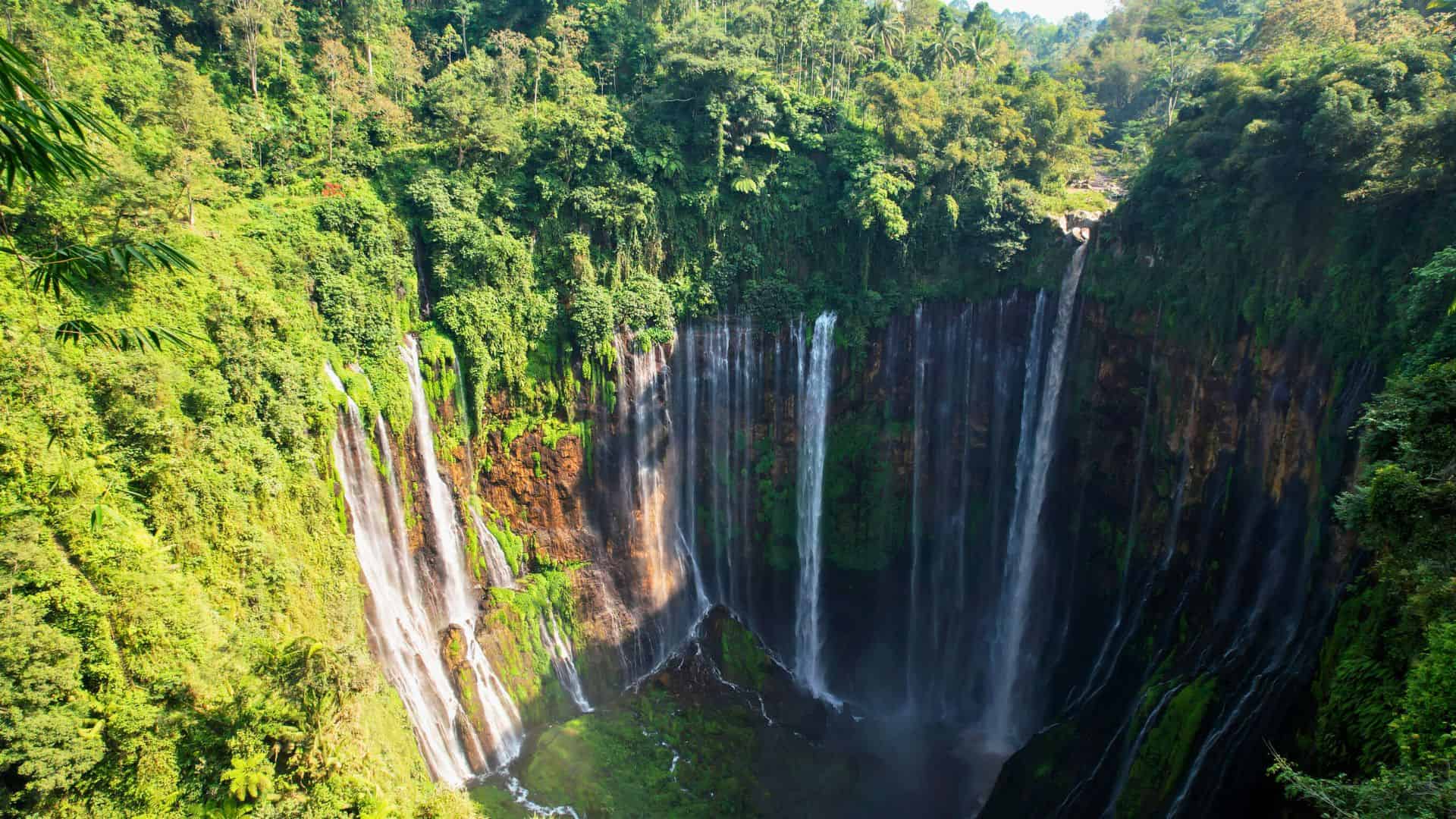 Tall waterfalls cascade down lush, green cliffs surrounded by dense tropical forest under bright sunlight.