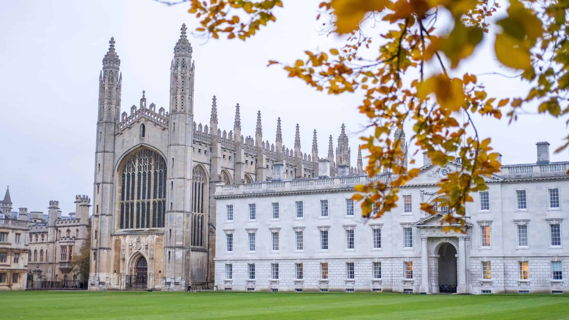 Gothic church and white building on a green lawn, with autumn leaves in the foreground.