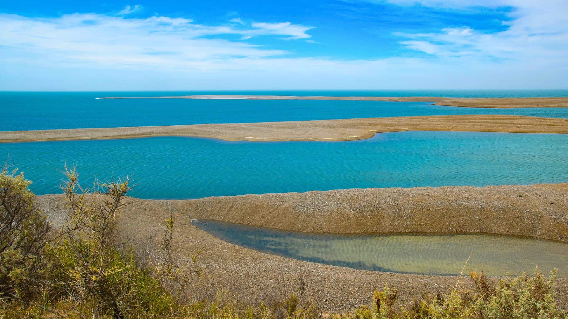 Blue lagoon with sandy, curved spits under a bright sky, with shrubs in the foreground.