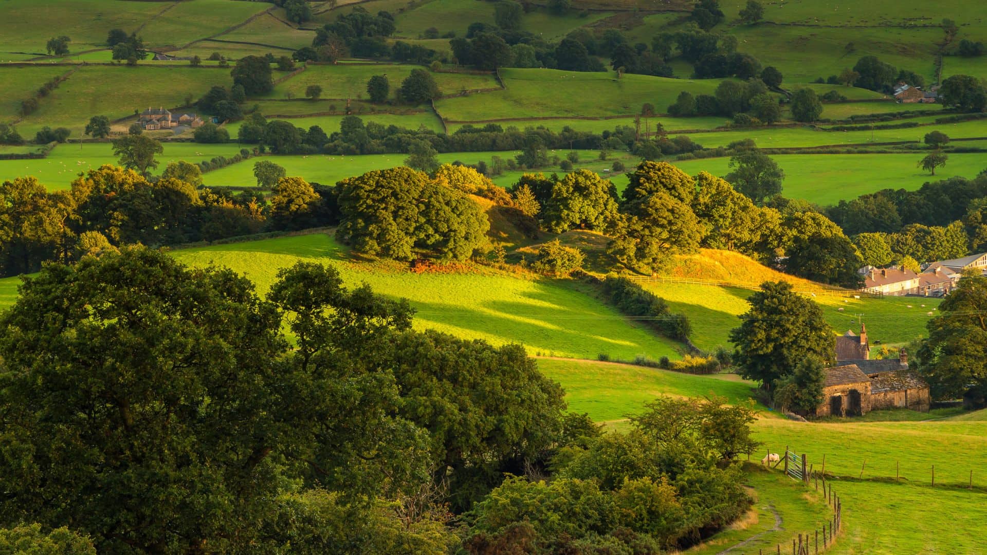 Rolling green hills and fields with scattered trees and houses in a sunlit countryside landscape.