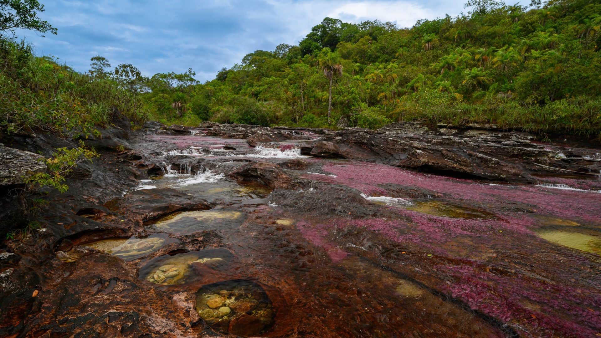 A river with vivid red aquatic plants flows through rocky terrain, surrounded by lush green forest under a cloudy sky.