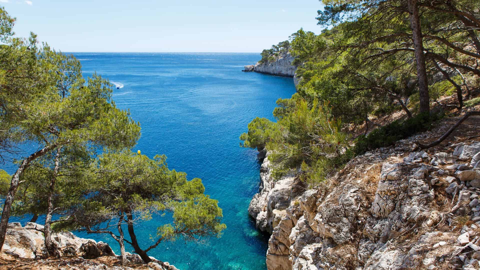 Rocky coastline with clear blue water and lush green trees under a bright sky.