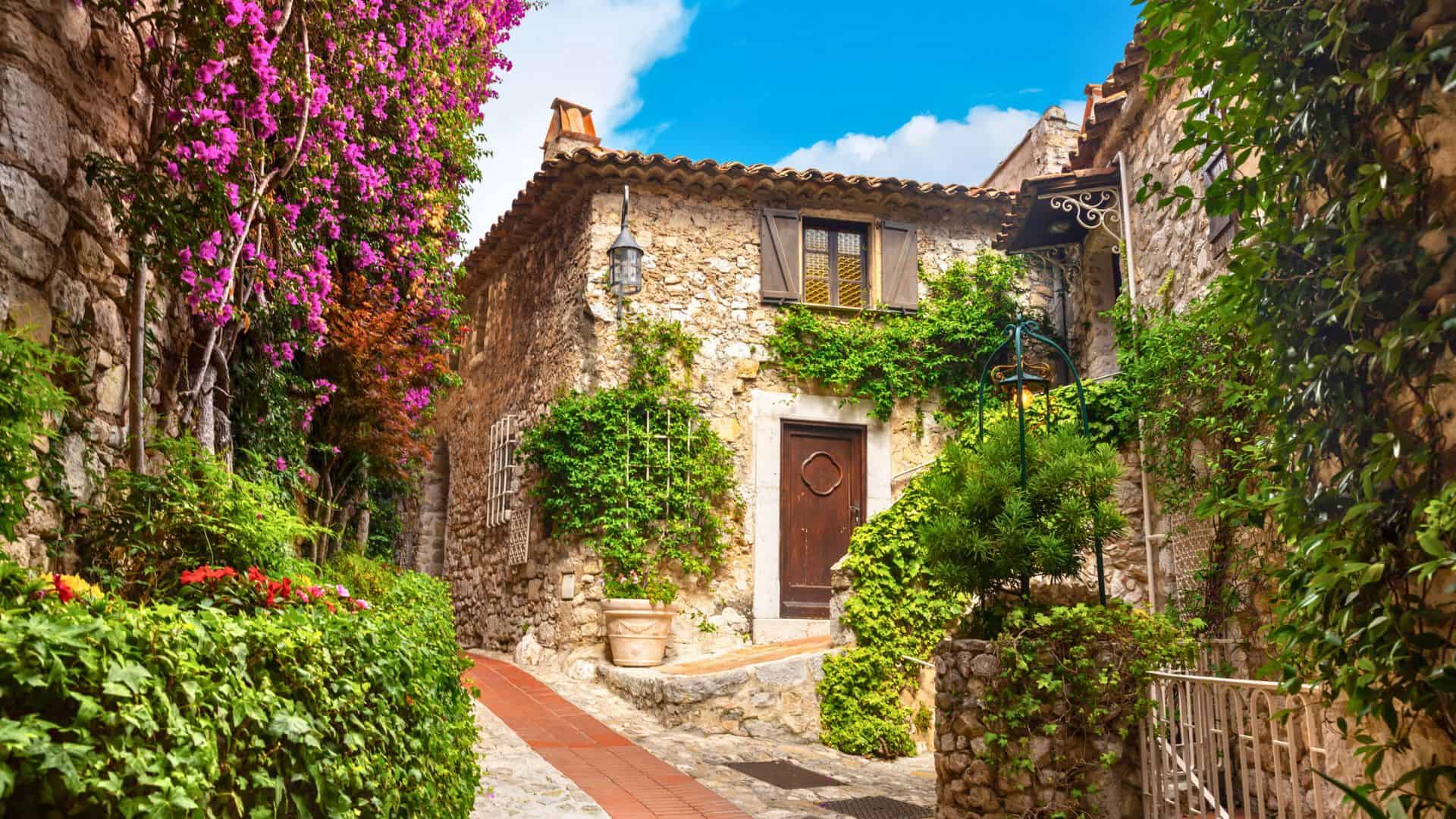 Charming stone house with climbing plants on a narrow, sunny cobblestone street in a picturesque village.