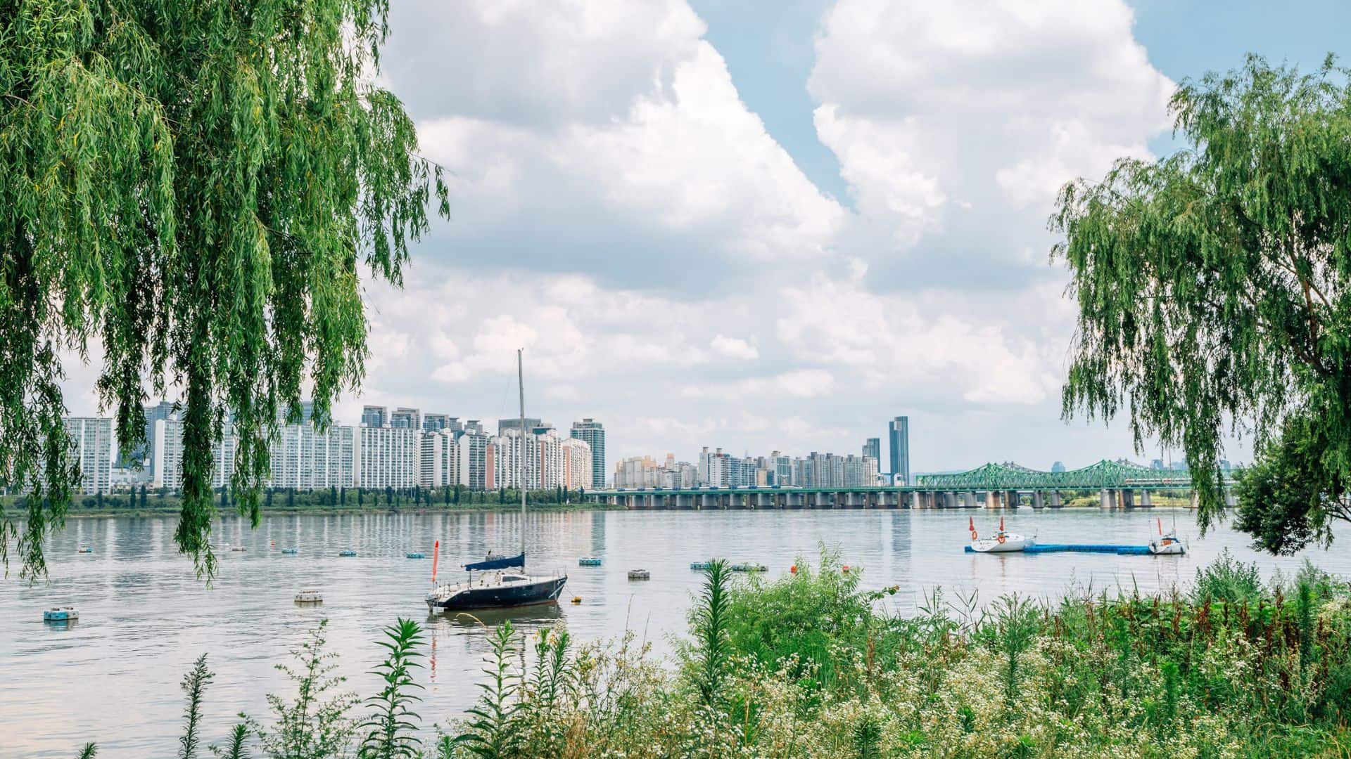 Boats on a river with city buildings in the background, framed by trees and greenery under a cloudy sky.