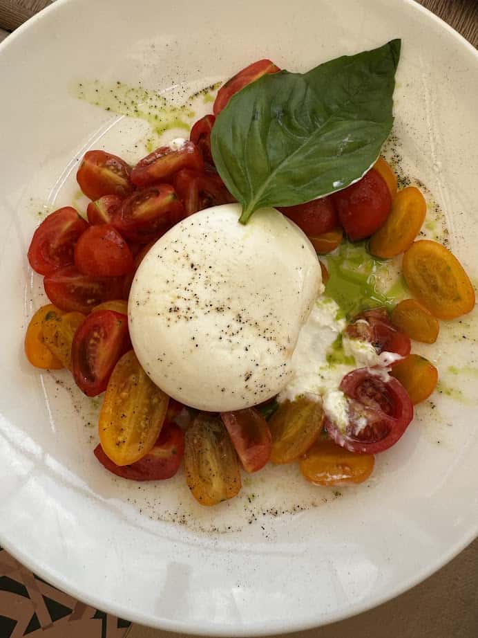 Savor burrata cheese with cherry tomatoes, basil leaf, olive oil, and pepper on a white plate—a delightful taste reminiscent of 4 days in Castel Gandolfo.