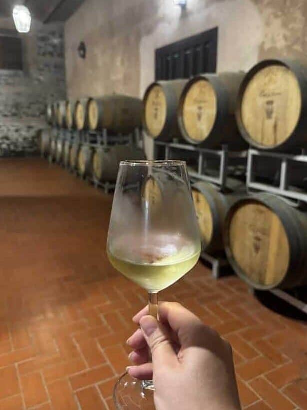 A hand holds a glass of white wine in a cellar with wooden barrels&mdash;an experience to savor during 4 days in Castel Gandolfo.