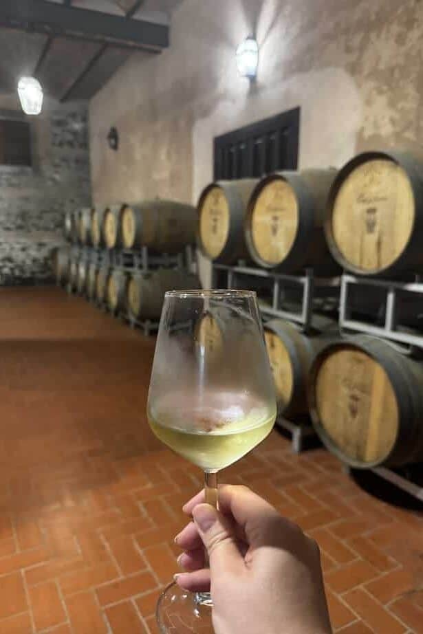 A hand holds a glass of white wine in a cellar with wooden barrels—an experience to savor during 4 days in Castel Gandolfo.