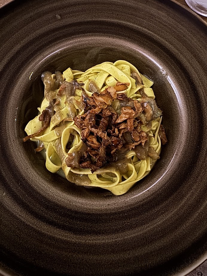 Tagliatelle pasta topped with caramelized onions and crispy shallots on a dark brown plate—perfect after 4 days in Castel Gandolfo.