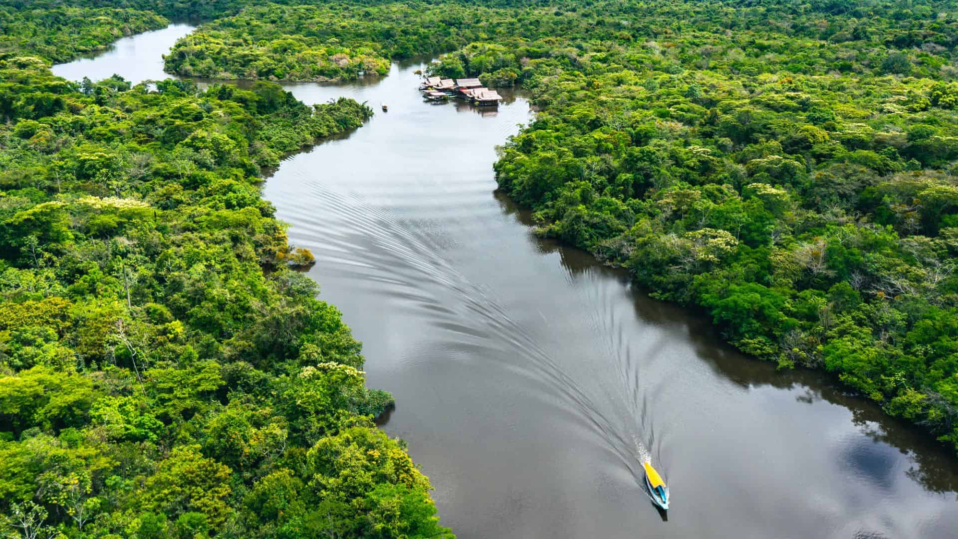 A yellow boat travels down a winding river surrounded by dense, green rainforest from an aerial view.