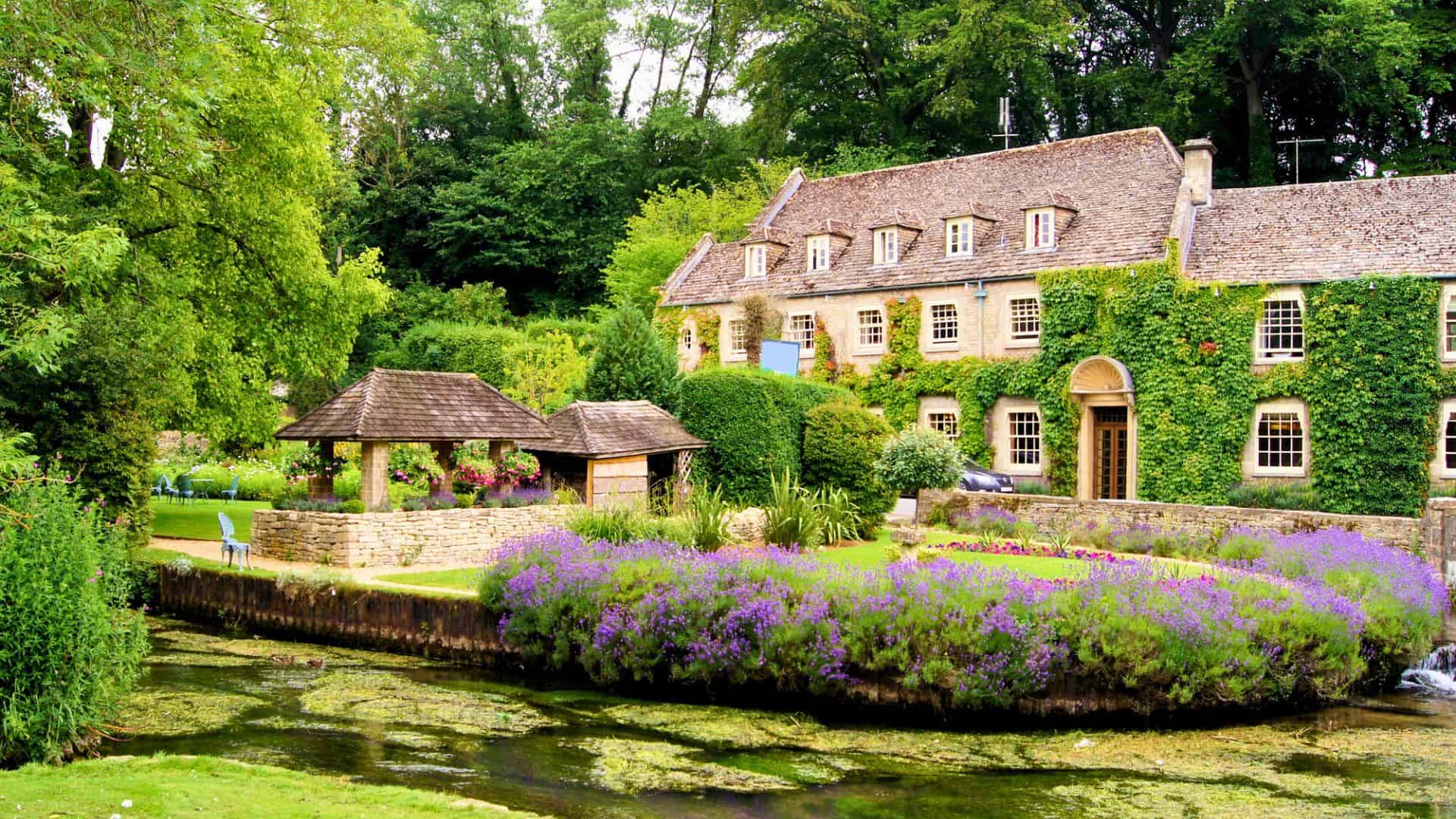 Charming ivy-covered cottage with lavender garden and a small creek in the English countryside.