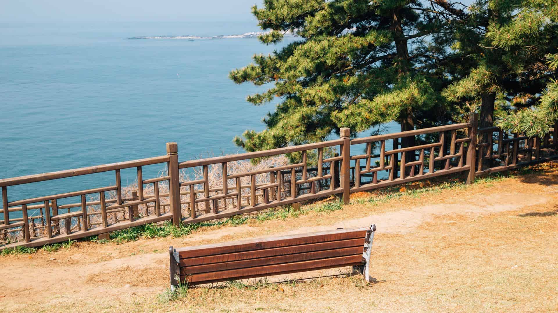 Wooden bench facing the ocean, near a wooden fence and trees on a sunny day.