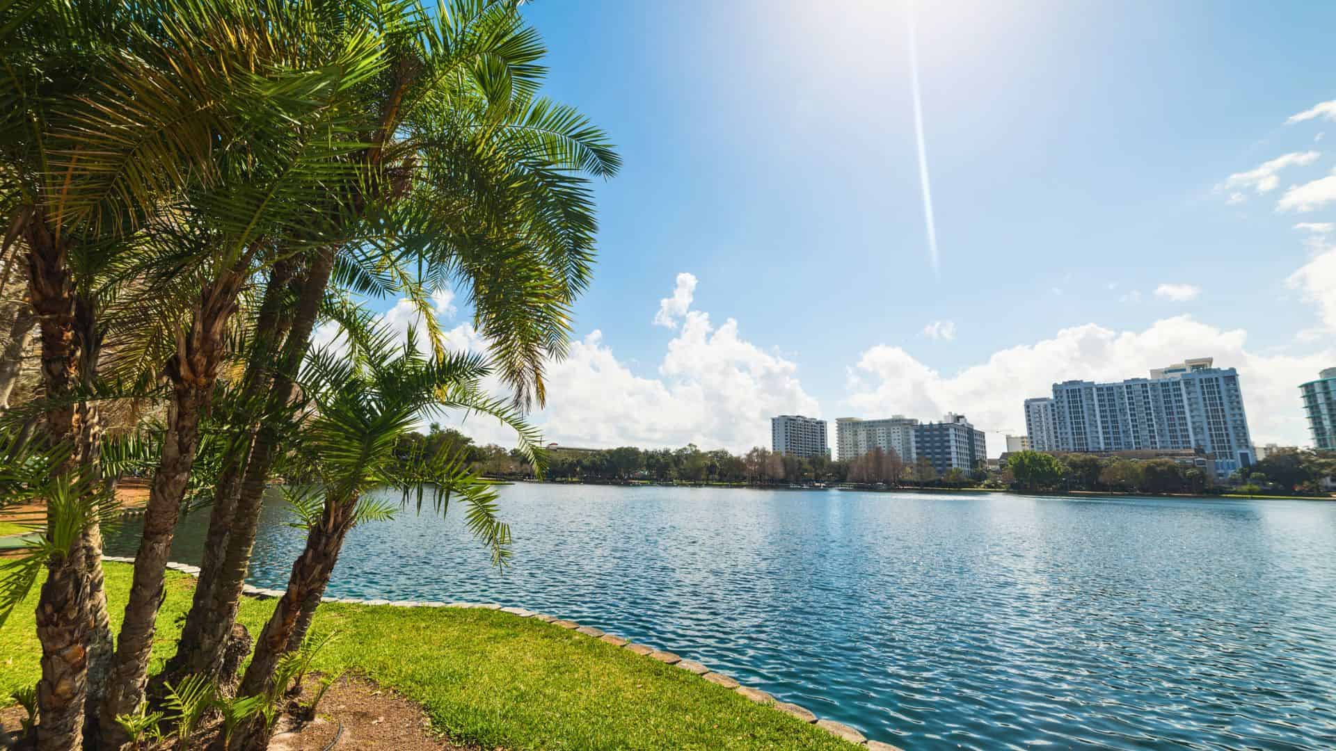 Palm trees by a lake with high-rise buildings in the background under a sunny, blue sky.